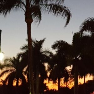 Meet your Posher, Jeff